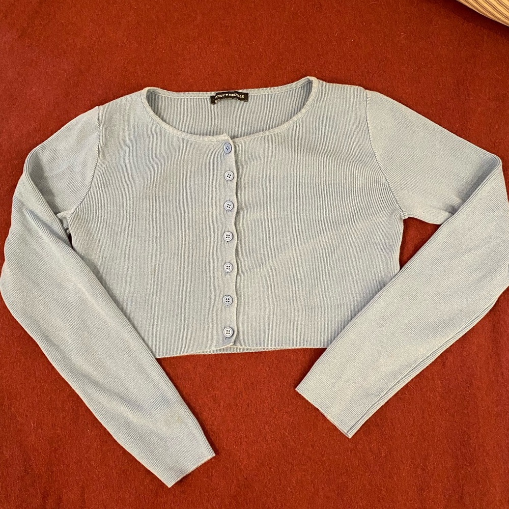 Baby blue Brandy Melville long sleeve crop top with buttons